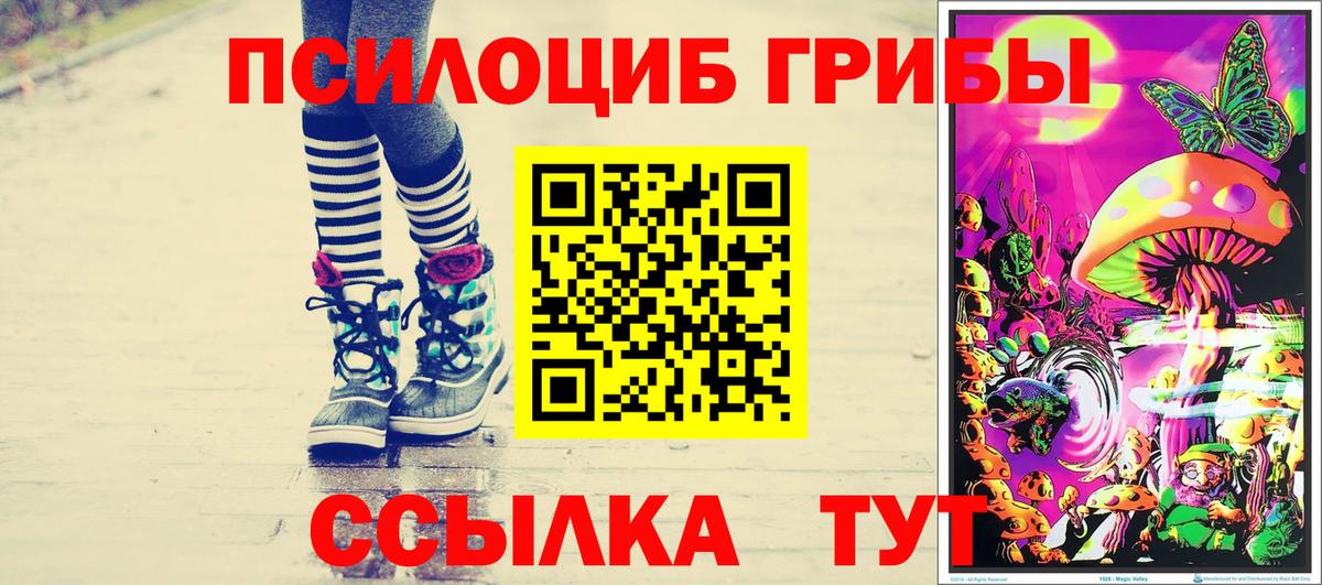 Псилоцибиновые грибы Cubensis  Вход с VPN  Узловая 